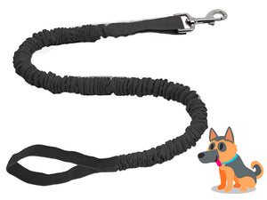 Dog Leash TowWhee