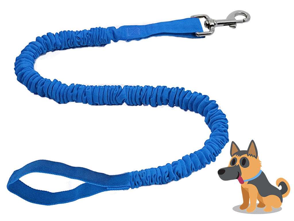 Dog Leash TowWhee