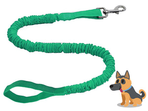 Dog Leash TowWhee