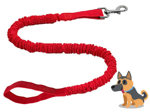 Dog Leash TowWhee