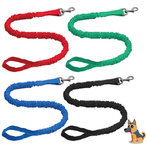 Dog Leash, All colours